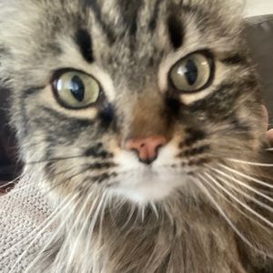 Meet your Posher, Rebekah